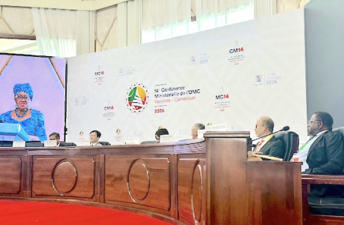 Le coton africain à la conquête des investisseurs industriels : Yaoundé au cœur de la stratégie