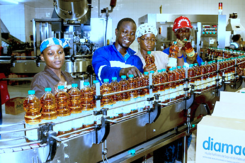 La Sodecoton sollicite le refinancement de la BEAC via Afriland pour une huilerie de 20 milliards de FCFA à Ngaoundéré