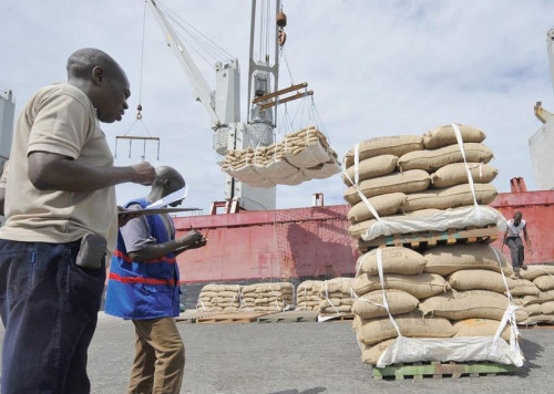 Cameroun : Le cacao détrône le pétrole comme principal produit d'exportation en 2025