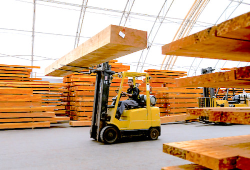 Exportations de bois du Cameroun : les sciages dominent en 2025, les grumes résistent aux restrictions