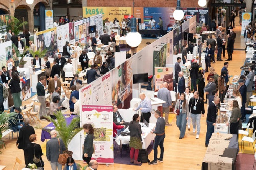 Cacao : Le Cameroun décroche l'or au Cocoa of Excellence Awards 2026 à Amsterdam