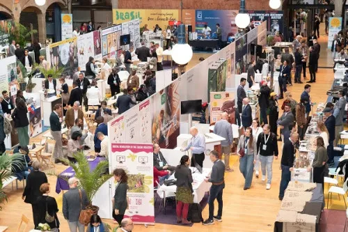 Le Cameroun décroche l'or au Cocoa of Excellence Awards 2026 à Amsterdam