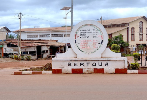 Venture Nexus prospecte des projets énergétiques à Bertoua : focus sur les énergies renouvelables