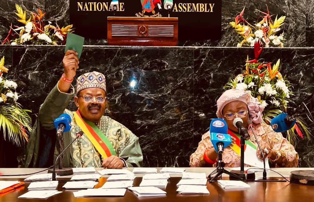Le Parlement camerounais approuve la création d'un poste de vice-président