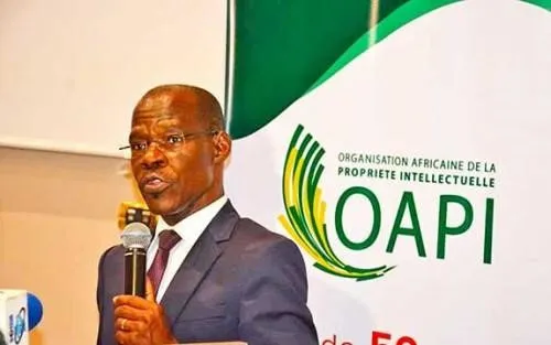 L'OAPI et l'OMPI lancent un réseau régional de CATI pour structurer l'innovation en Afrique