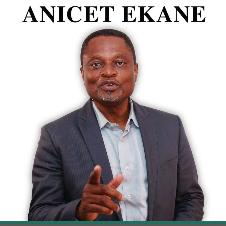Décès d'Anicet Ekane : un opposant camerounais décède en détention, suscitant des interrogations