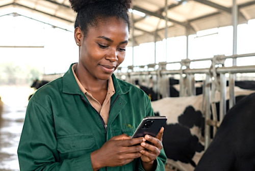 FarmEase lance une application de gestion agricole pour les éleveurs et agriculteurs camerounais