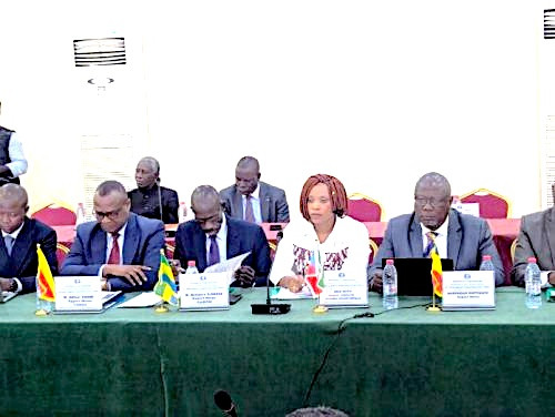 La CEMAC harmonise son code minier pour attirer les investissements et améliorer la gouvernance