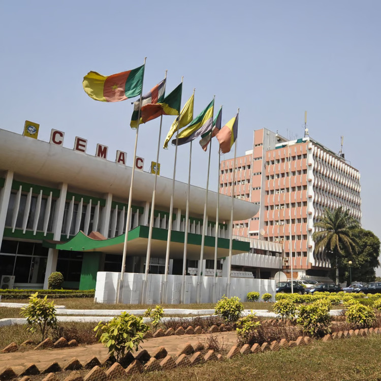 Crise financière à la CEMAC : Menace d'exclusion et saisies forcées contre les mauvais payeurs