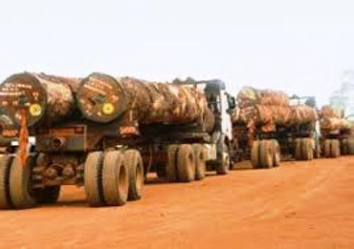 Bois : Le Cameroun renforce l'interdiction d'exportation des grumes avec 15 nouvelles essences