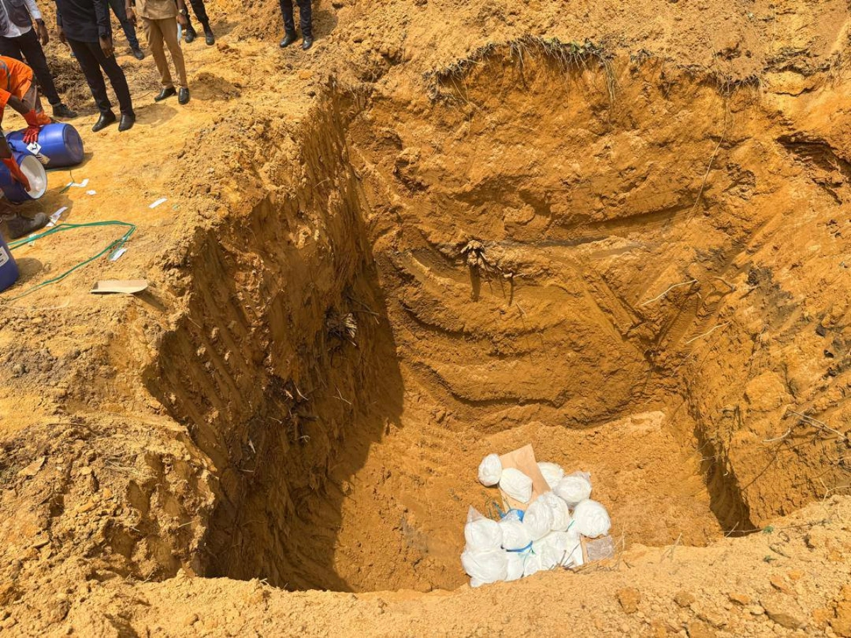 Destruction de près de 2,5 tonnes de drogue saisies à l'aéroport de Douala