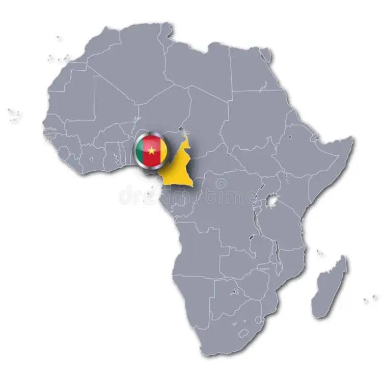 Le Cameroun face à la menace terroriste grandissante en Afrique de l'Ouest
