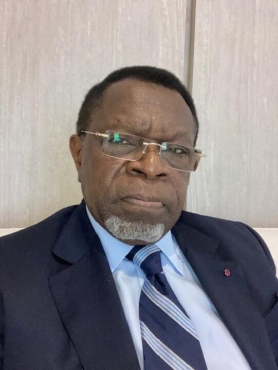 Cameroun : La stratégie d'import-substitution de la SND30 remise en question face aux réalités du commerce international