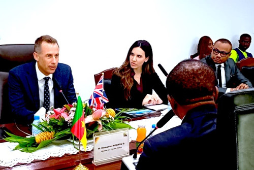 La firme britannique Propav prospecte des projets routiers et urbains au Cameroun