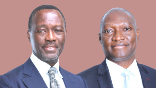 Les Camerounais Alain et Cyrille Nkontchou investissent 56 milliards FCFA dans l'énergie solaire en Angola
