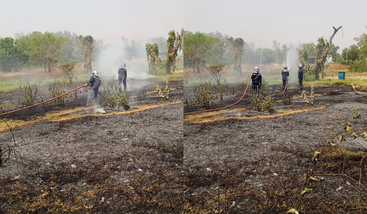 Incendie à Garoua : 2000 m² de broussaille ravagés par les flammes