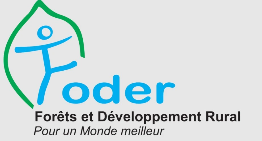 Cameroun : Suspension des activités de l'ONG FODER par le ministère des Forêts