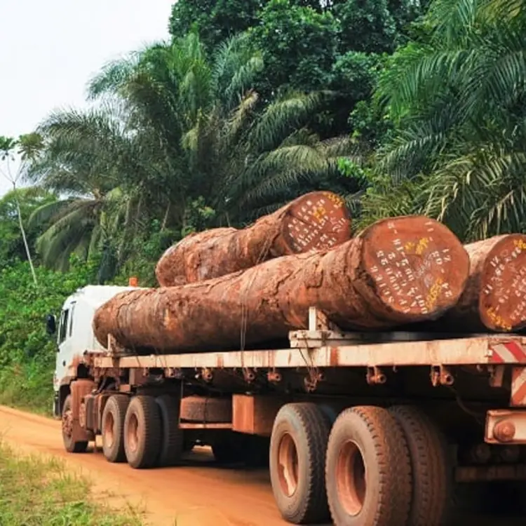 Cameroun : Des chauffeurs anglophones victimes de violences à Bafoussam, la crise anglophone s'invite sur la route du bois