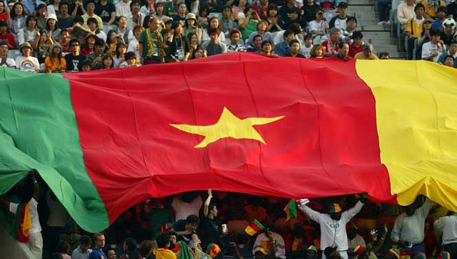 Secteur agricole camerounais : entre défis mondiaux et ambitions locales