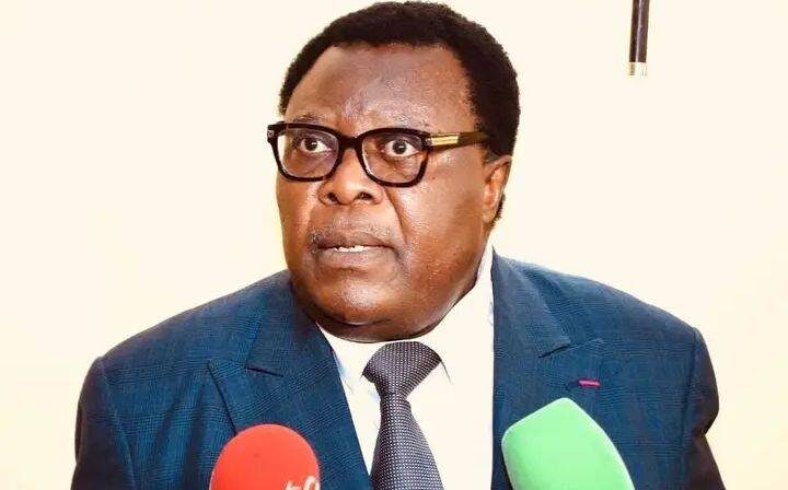 Jean de Dieu Momo défend la création d'un poste de vice-président au Cameroun comme garantie de stabilité