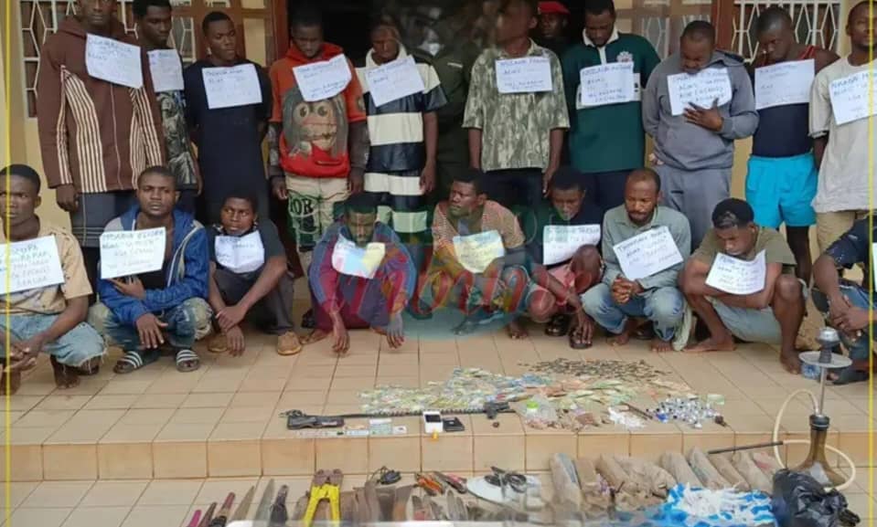 Coup de filet dans la Lekié : 22 présumés bandits arrêtés