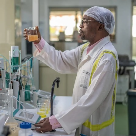 Nestlé Cameroun honorée pour son engagement environnemental et sa relation client