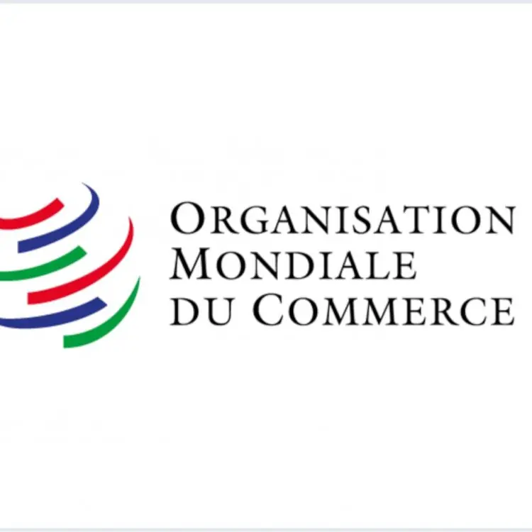 L'OMC active Genève comme plan B : le Cameroun sous pression à deux semaines de la conférence ministérielle