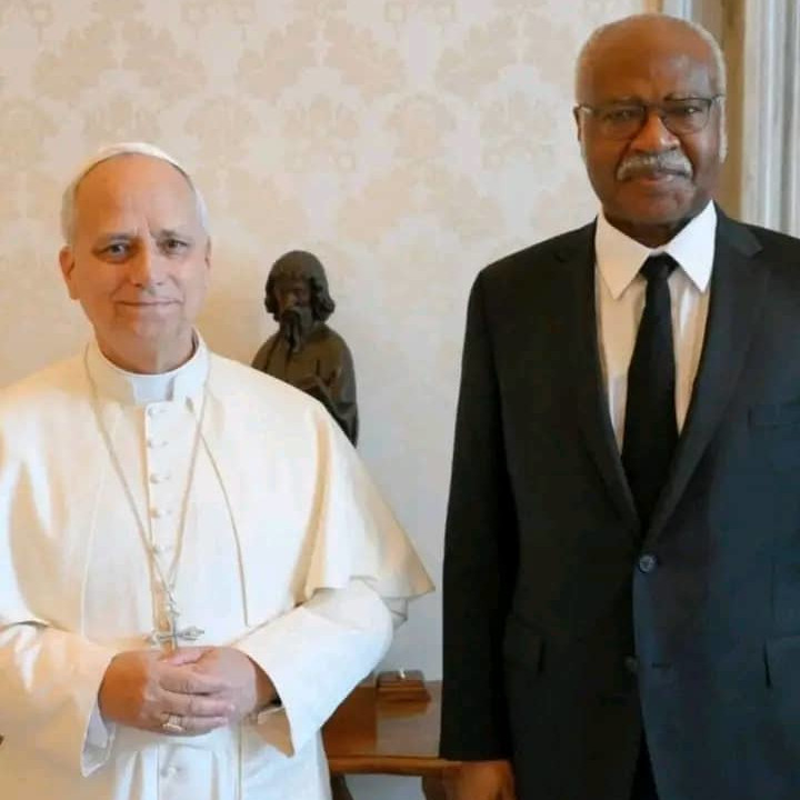 Le Pape Léon XIV effectuera une visite apostolique en Afrique en avril 2026