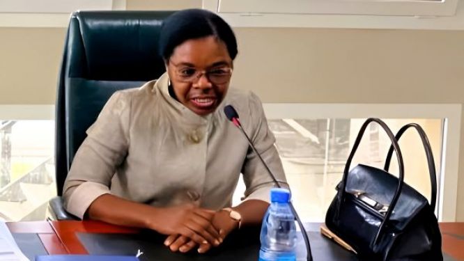 Rentrée solennelle à la Cour suprême du Cameroun : l'équilibre délicat entre ordre public et libertés fondamentales
