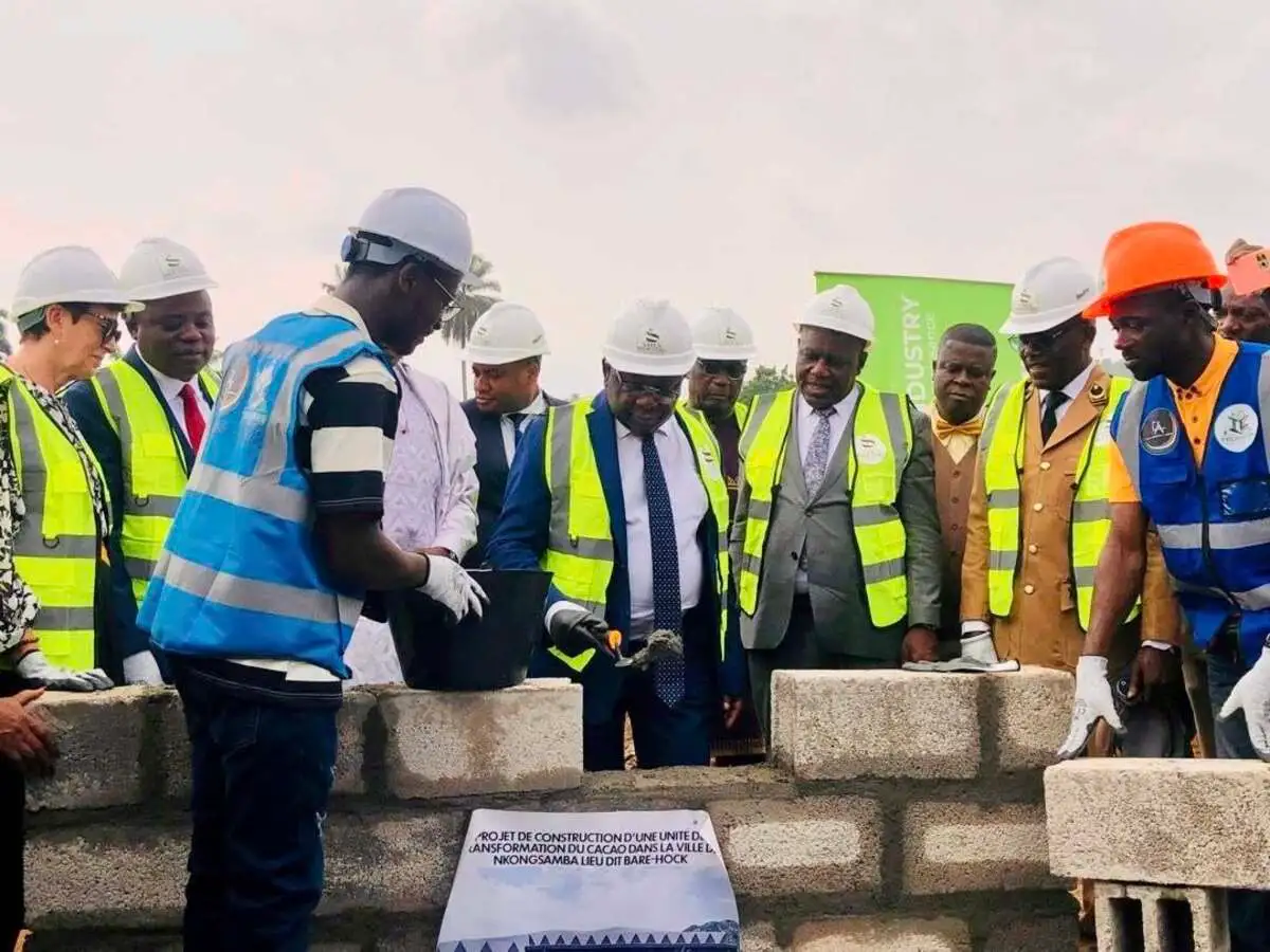 Le Cameroun atteint un record de transformation locale du cacao avec 80%