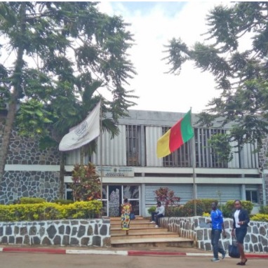 Université de Yaoundé II : un représentant étudiant banni pour fuites d'examens